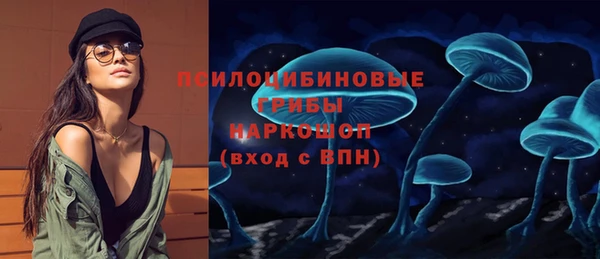 стаф Киренск