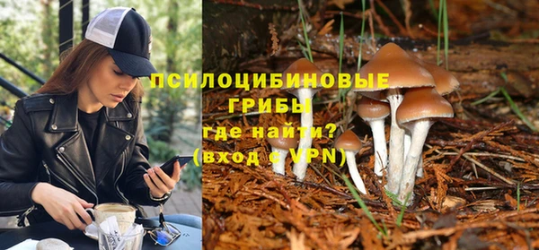 стаф Киренск