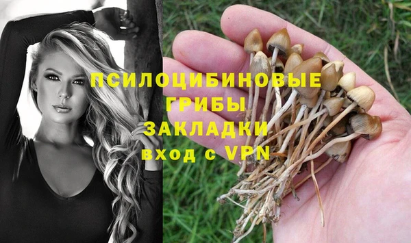 спиды Киреевск