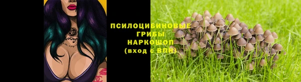 спиды Киреевск