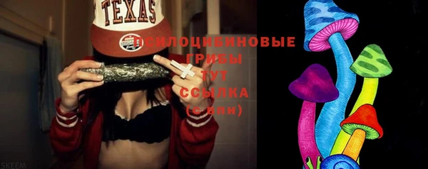 стаф Киренск