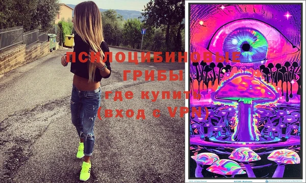 стаф Киренск