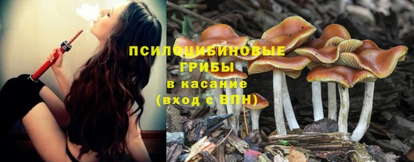 спиды Киреевск
