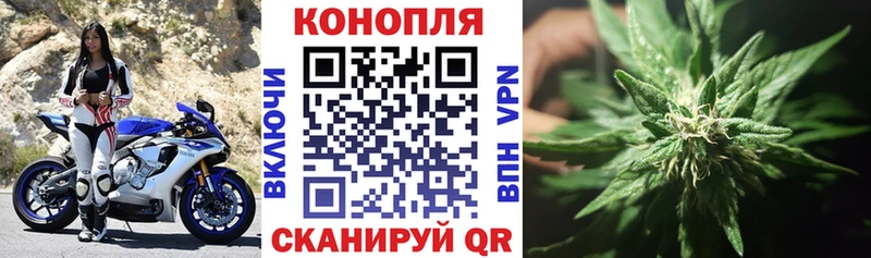как найти наркотики  mega ссылка  МАРИХУАНА Ganja  Камышин 